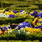 Frühling in Augustusburg