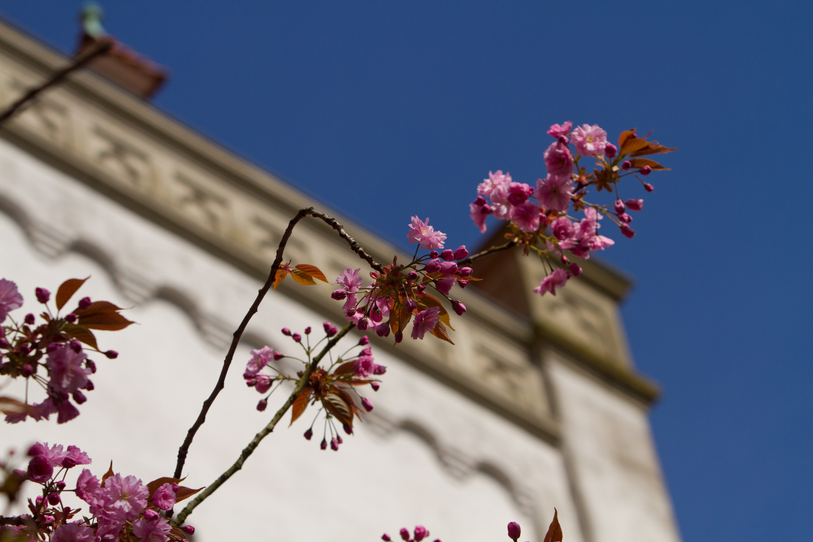 Frühling in Aurich