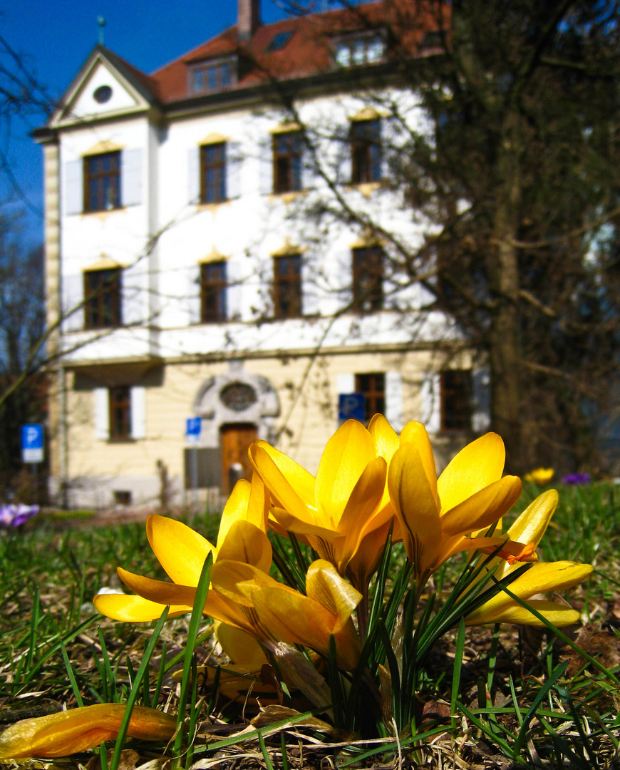 Frühling in Bad Aibling - altes Rathaus