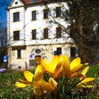 Frühling in Bad Aibling - altes Rathaus