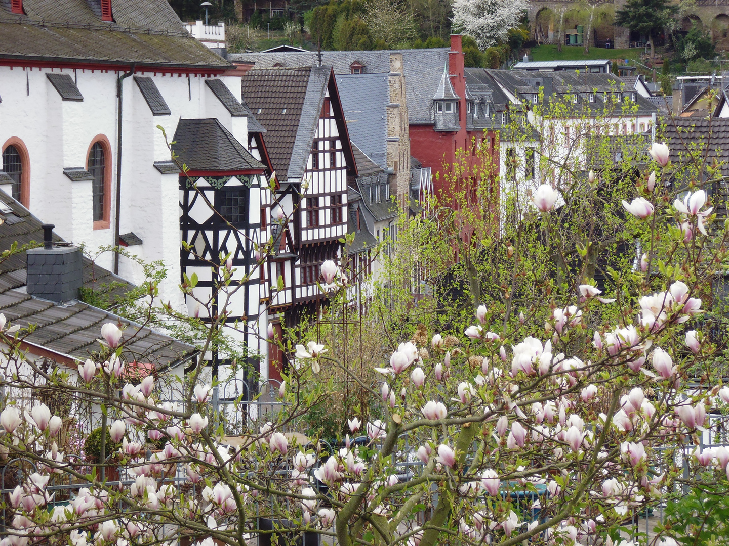 Frühling in Bad Münstereifel