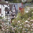 Frühling in Bad Münstereifel