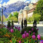 FRÜHLING IN BAD REICHENHALL