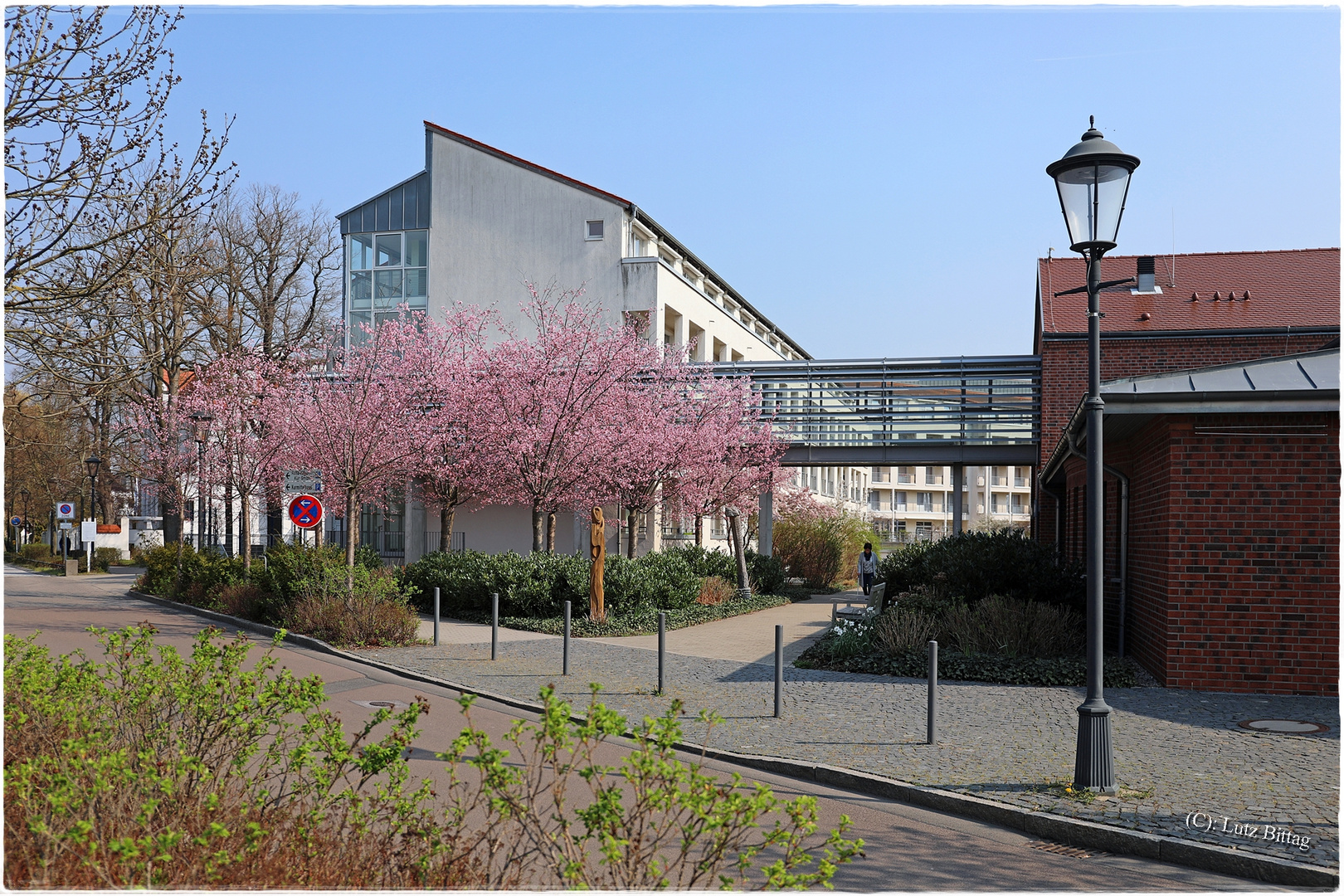 Frühling in Bad Schmiedeberg