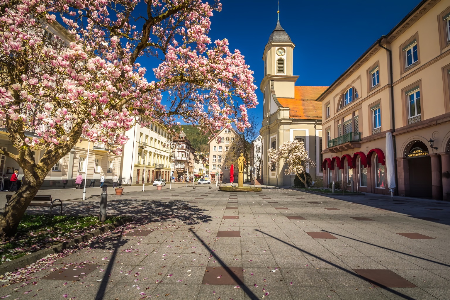 Frühling in Bad Wildbad