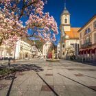 Frühling in Bad Wildbad