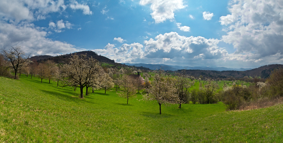 Frühling in Baden