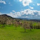 Frühling in Baden