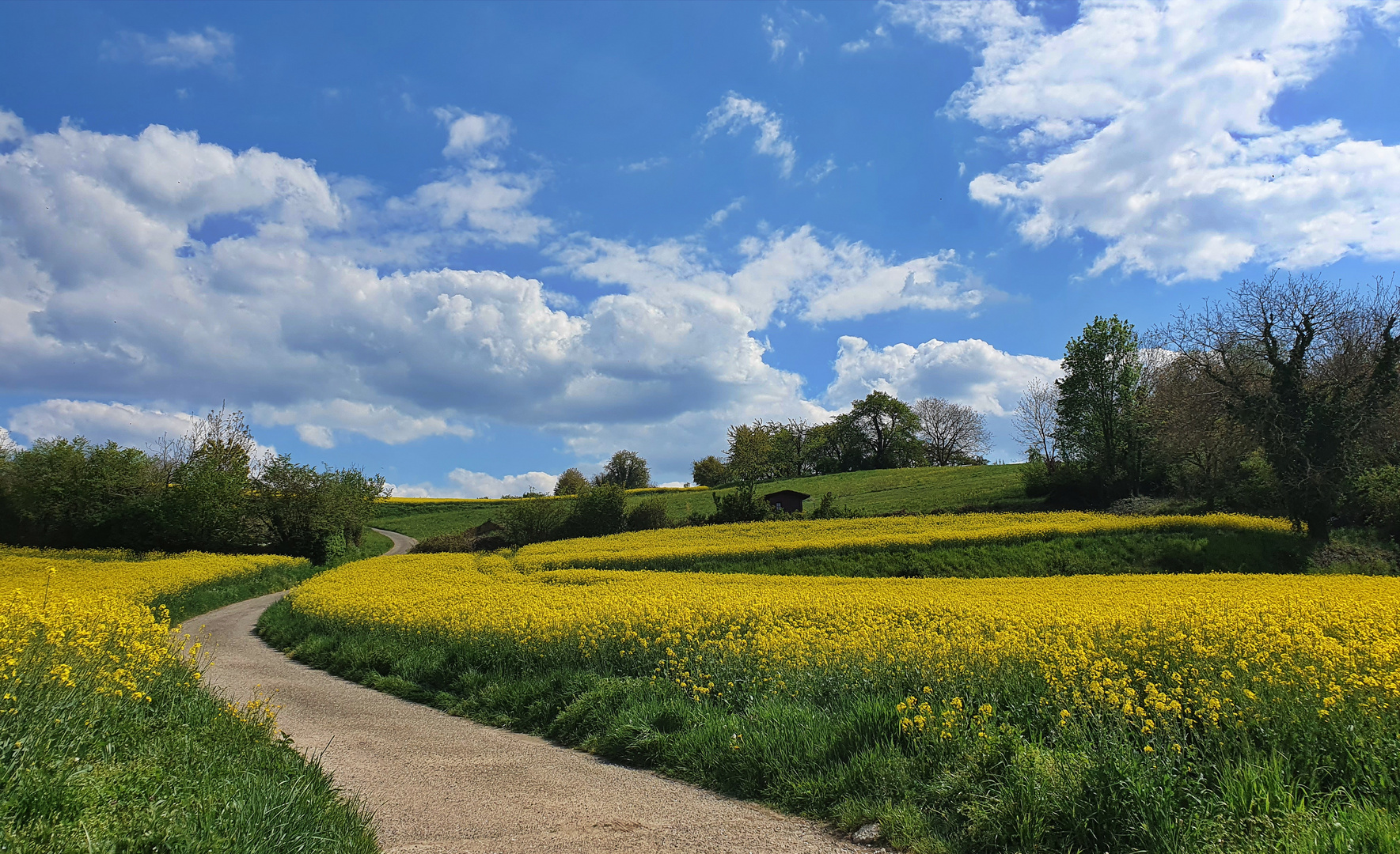 Frühling in Baden.