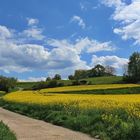 Frühling in Baden.