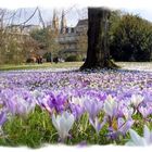 Frühling in Baden-Baden