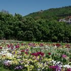 Frühling in Baden-Baden