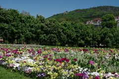 Frühling in Baden-Baden