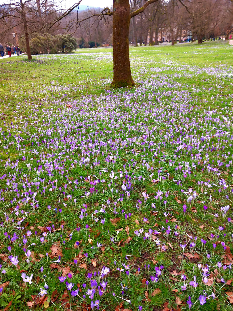 Frühling in Baden Baden