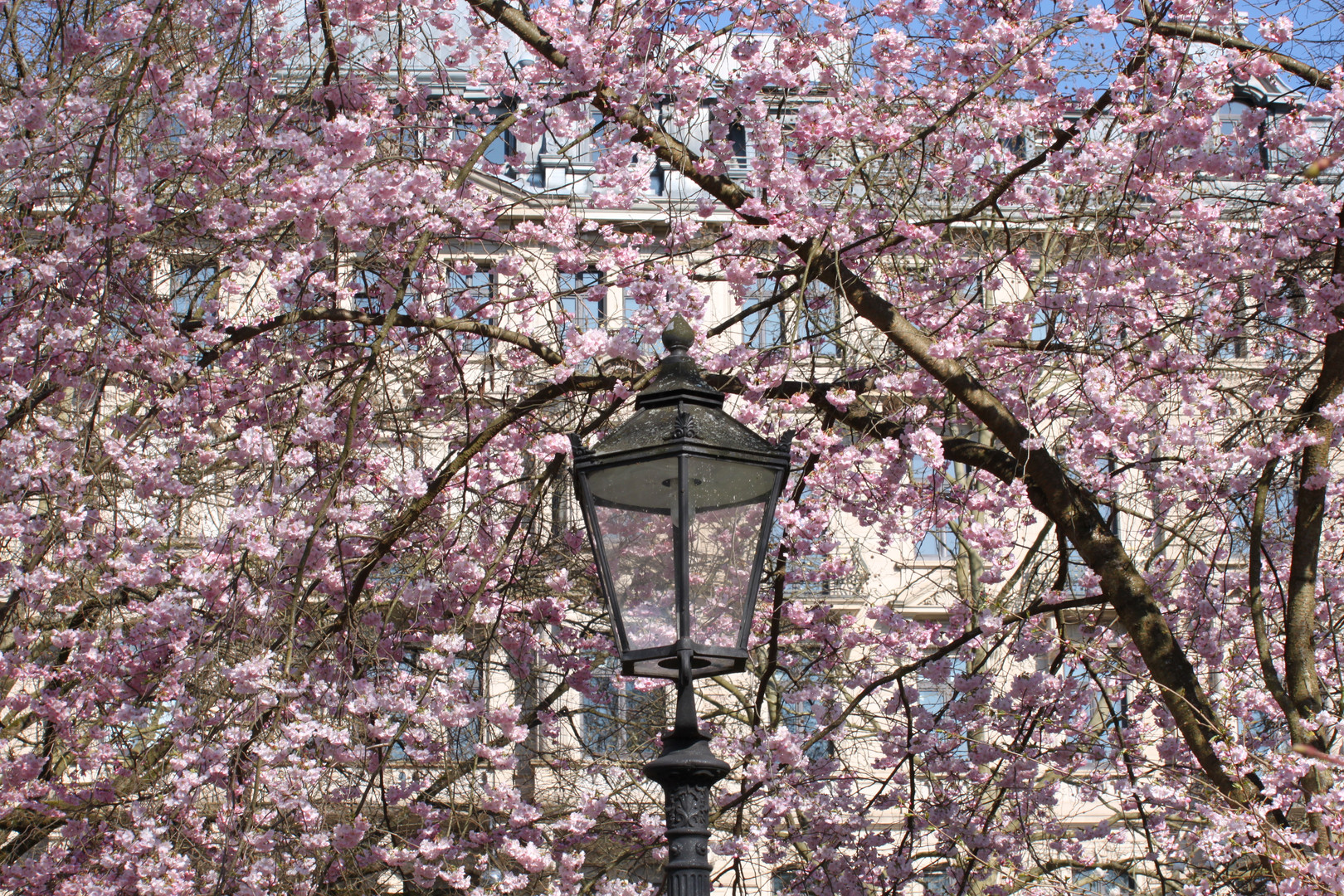 Frühling in Baden