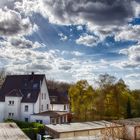 Frühling in Balkonien