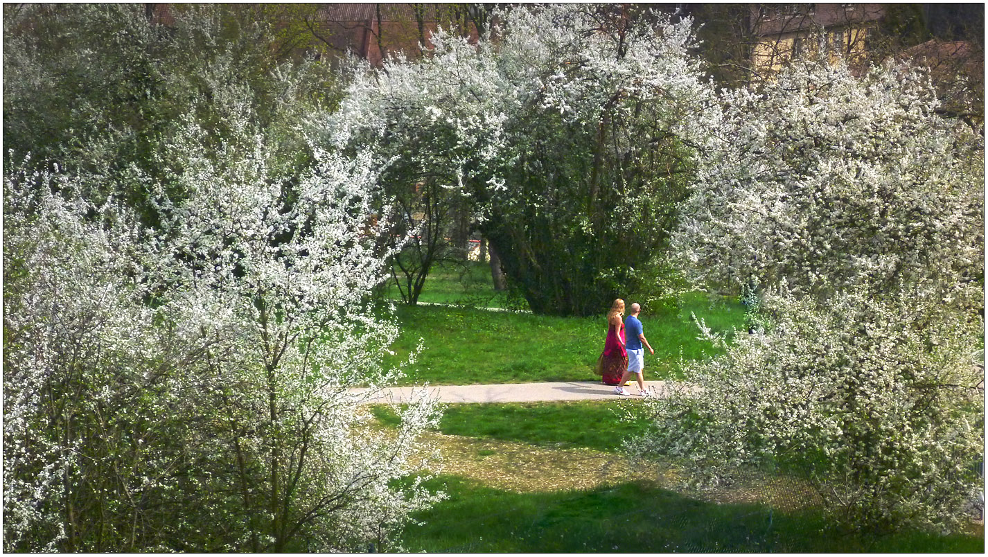 Frühling in Bamberg