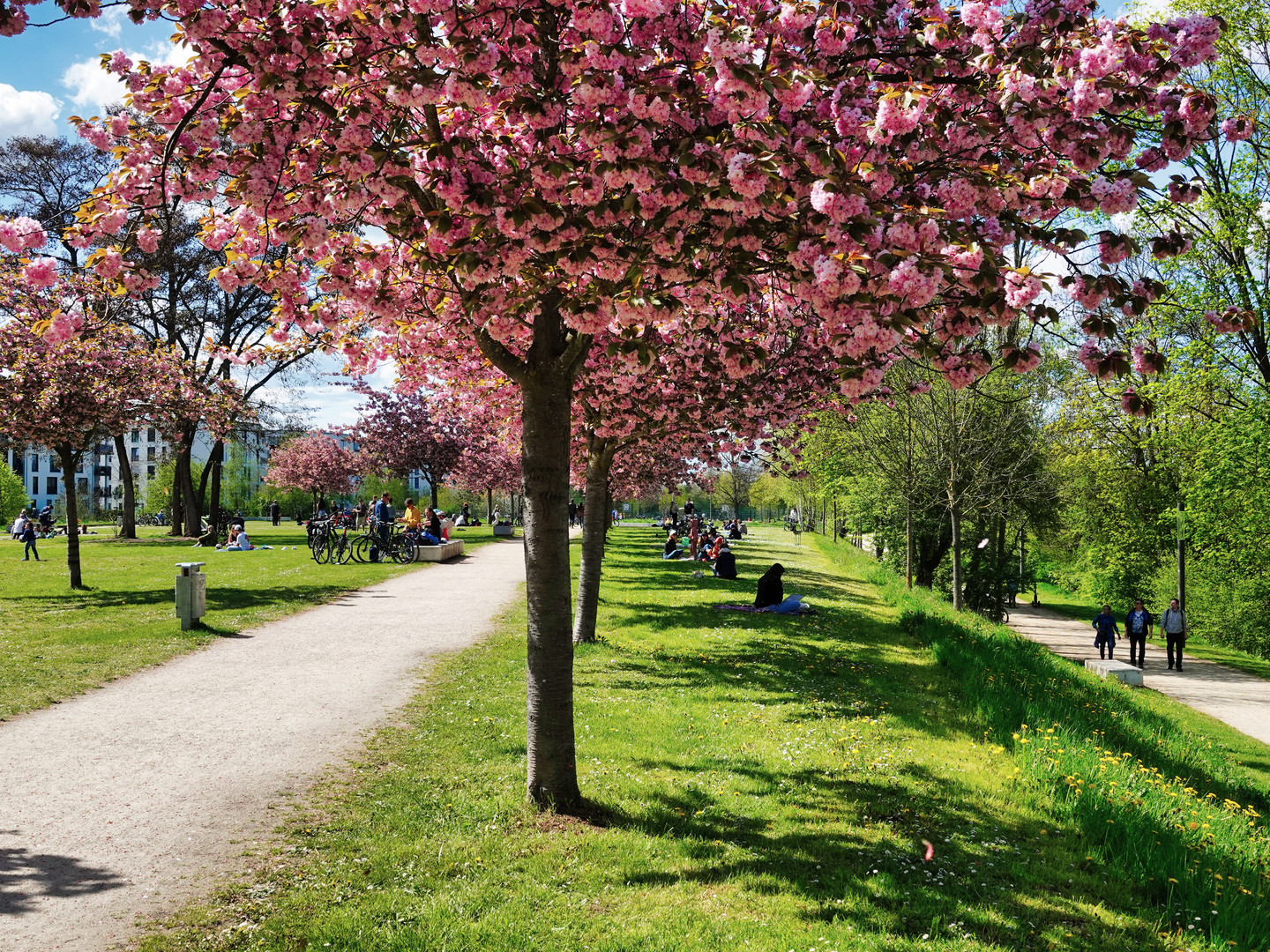 Frühling in Bamberg 