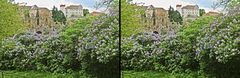 Frühling in Bautzen (3D)