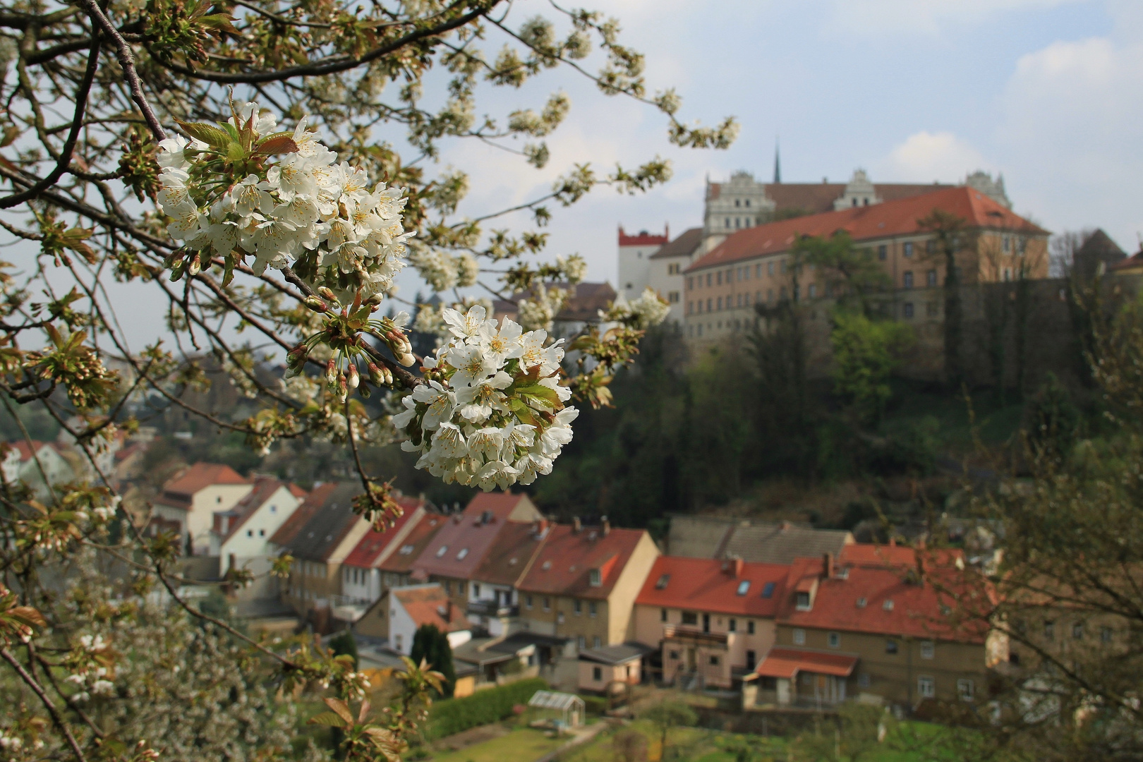 Frühling in Bautzen