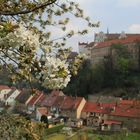 Frühling in Bautzen