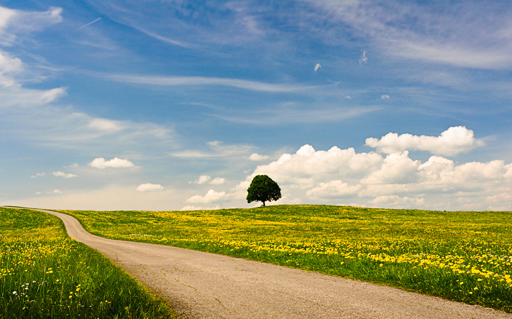 Frühling in Bayern