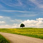 Frühling in Bayern