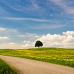 Frühling in Bayern