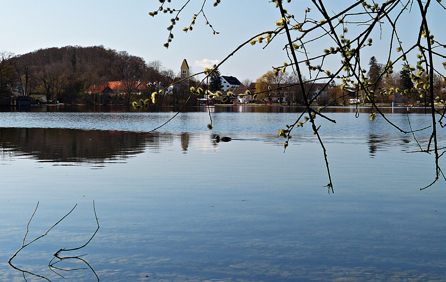 Frühling in Bayern