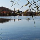 Frühling in Bayern