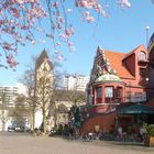 Frühling in Bergisch Gladbach