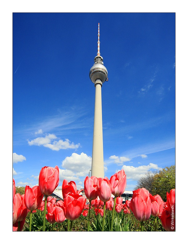 Frühling in Berlin