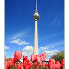 Frühling in Berlin