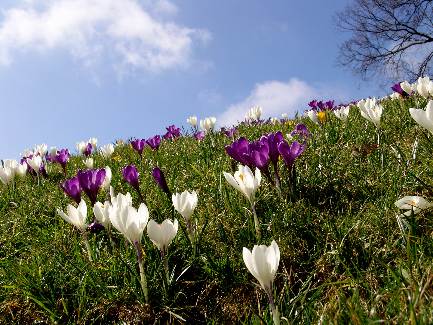 Frühling in Berlin