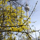 Frühling in Berlin