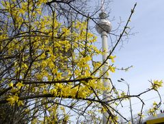 Frühling in Berlin