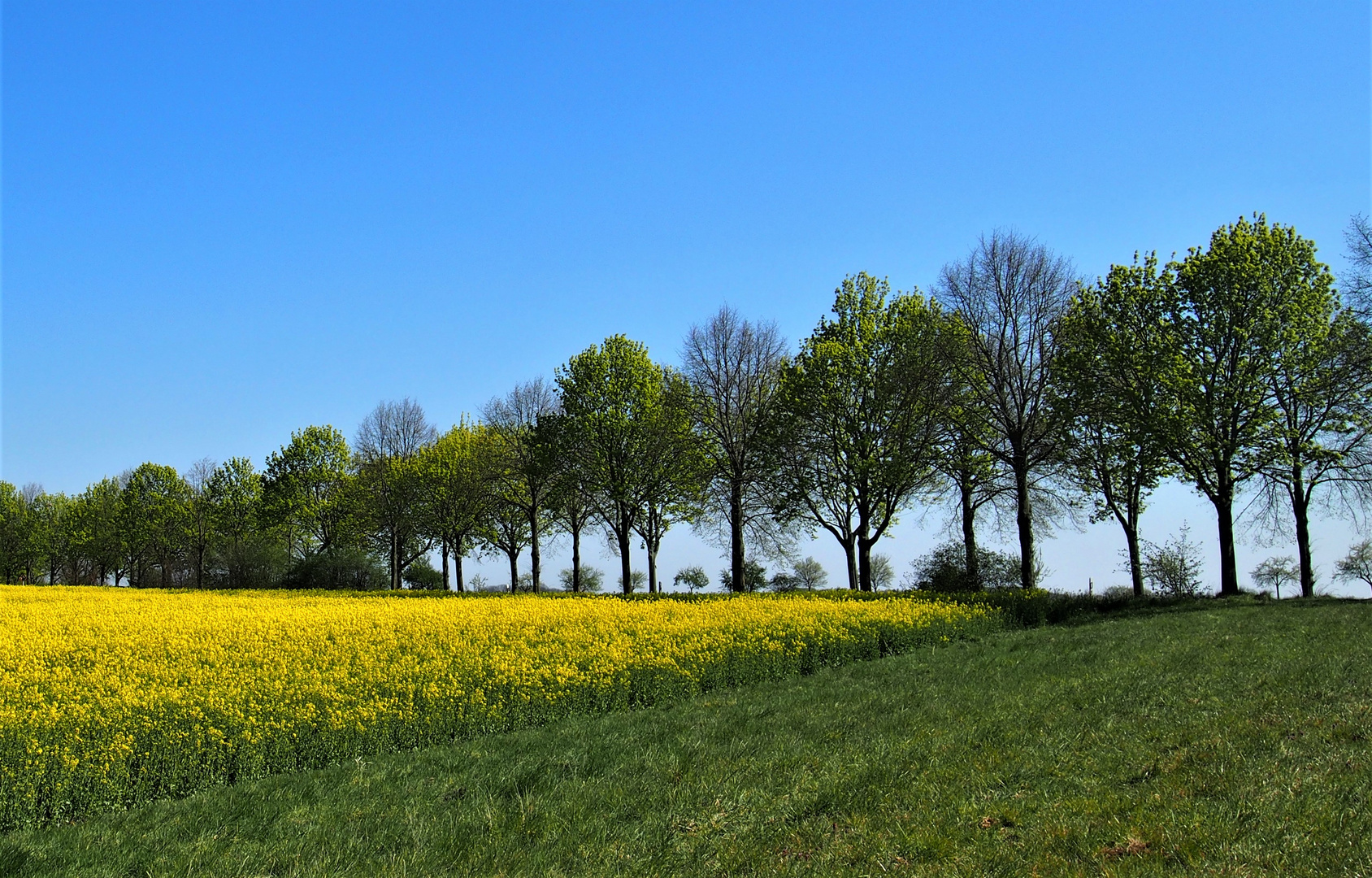 Frühling in Berlin