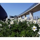 Frühling in Berlin