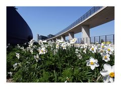 Frühling in Berlin