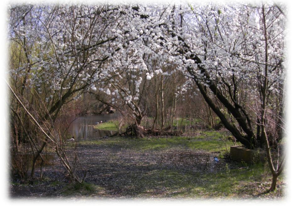 Frühling in Berlin