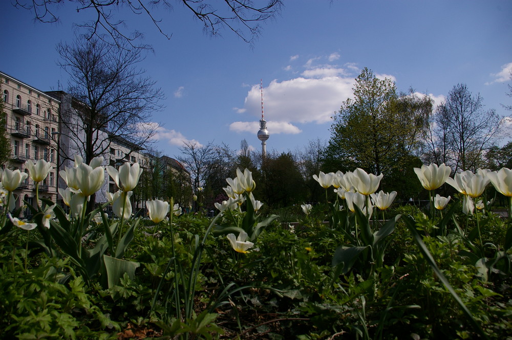 Frühling in Berlin