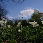 Frühling in Berlin