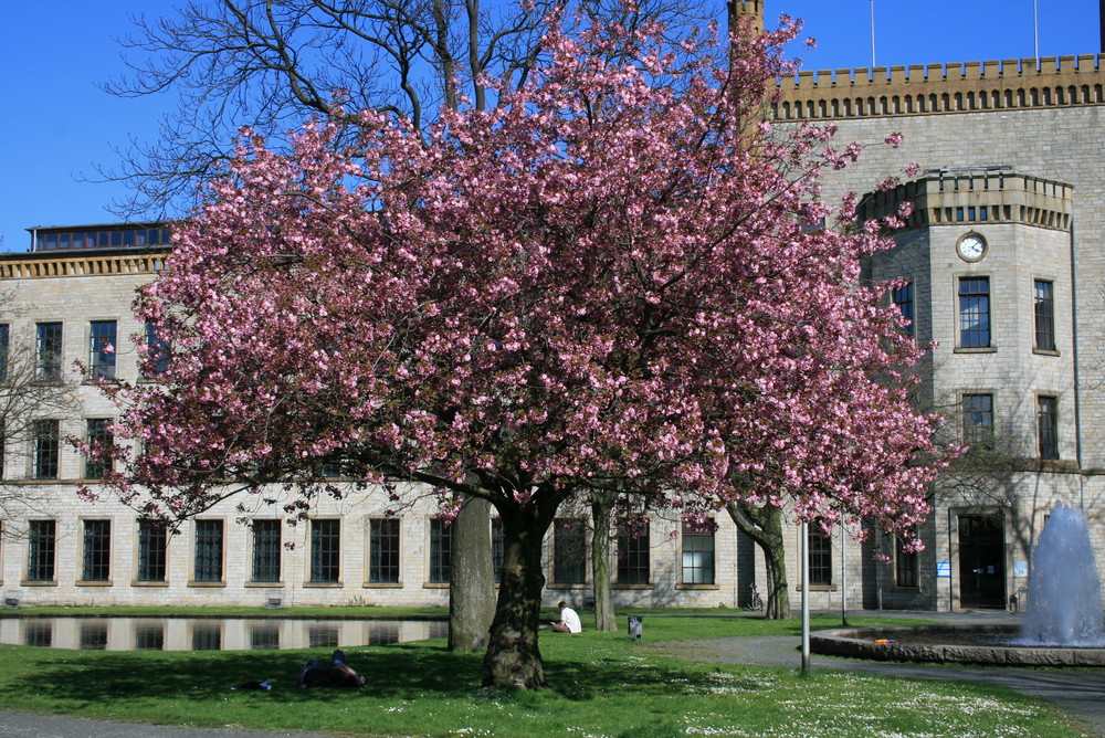 Frühling in Bielefeld
