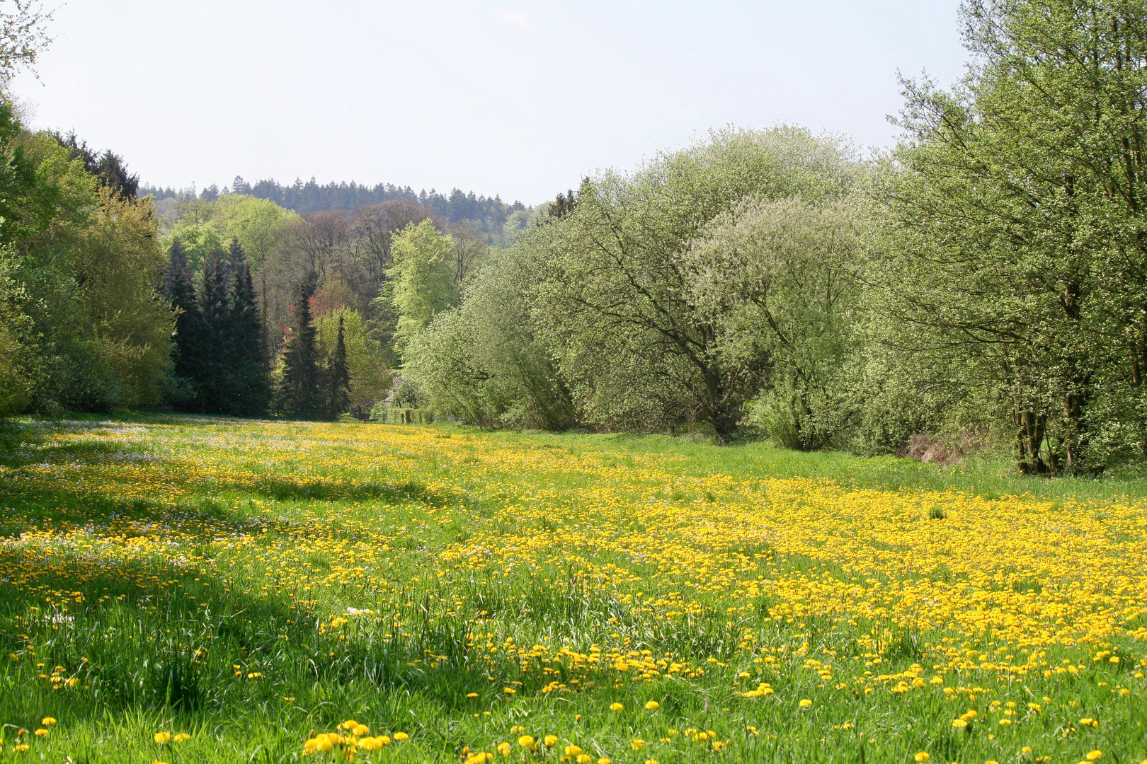 Frühling in Bielefeld