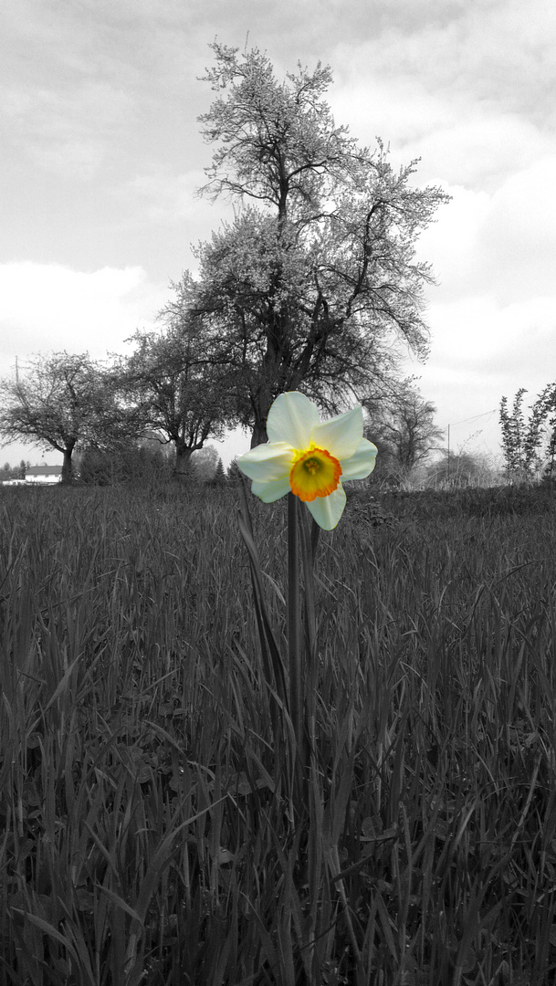 Frühling in Bielen