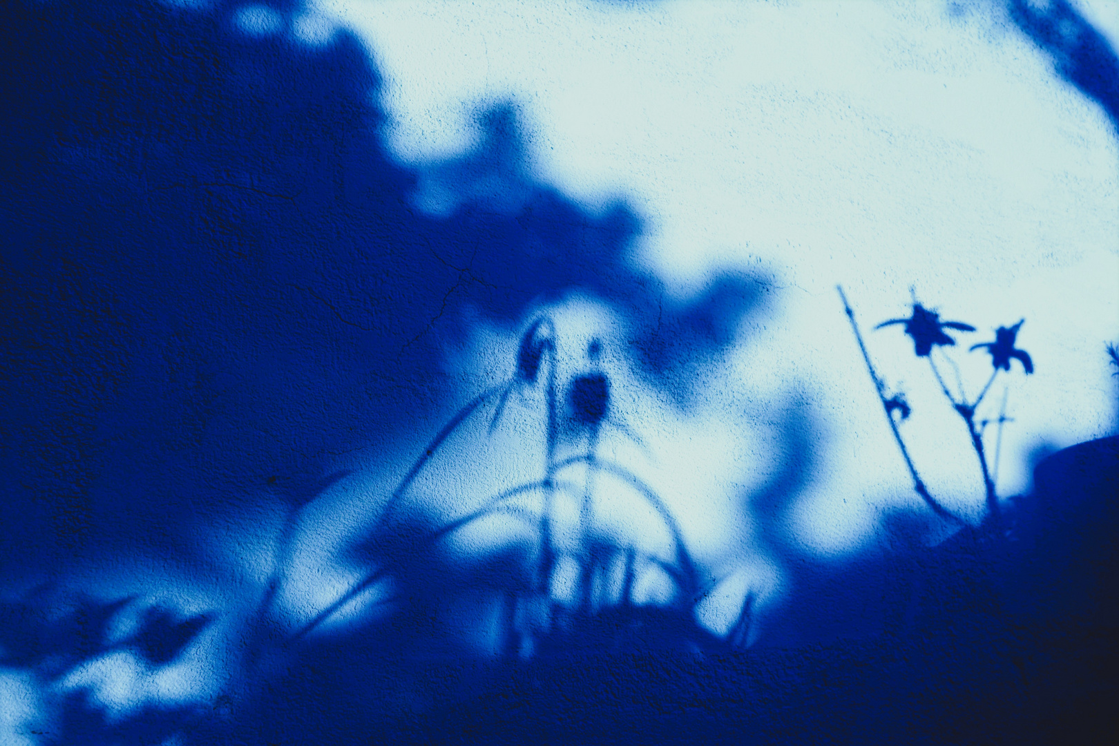 *Frühling in blau*