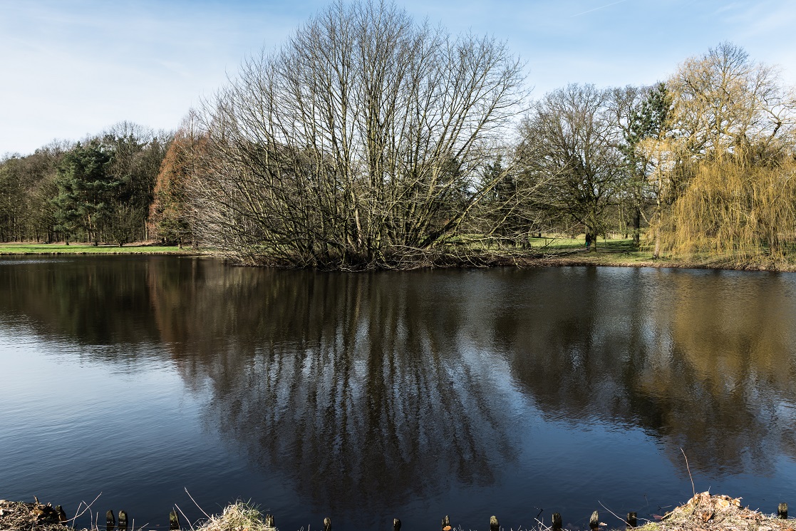 Frühling in Bocholt 1