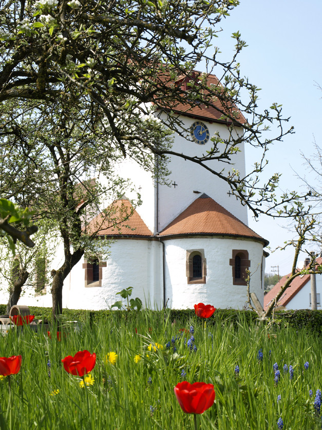 Frühling in Böckweiler