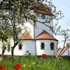 Frühling in Böckweiler