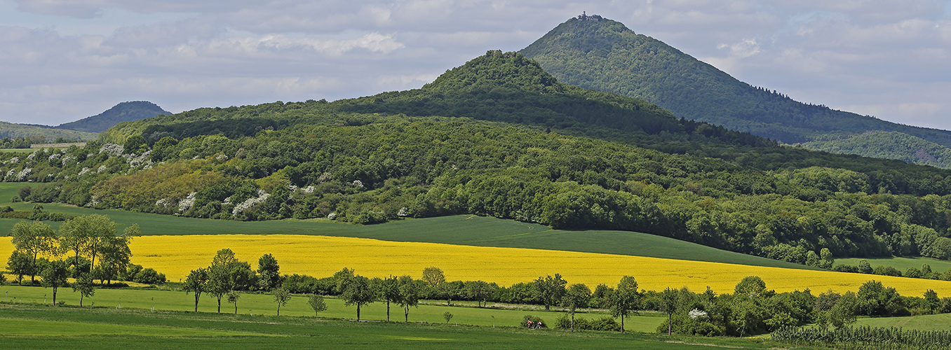 Frühling in Böhmen beim Millischauer, dem höchsten Gipfel des Böhmischen Mittelgebirges